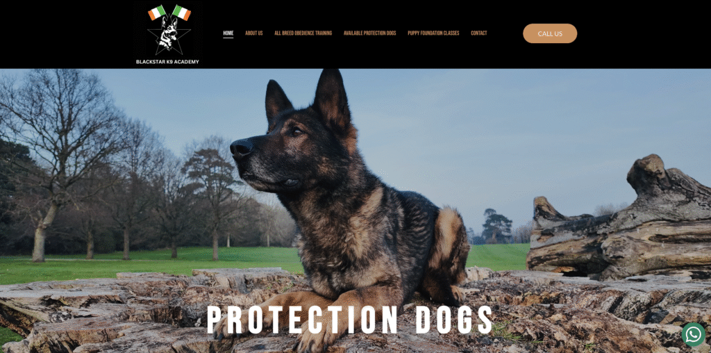 website design dublin